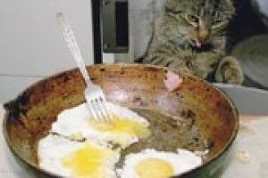 ФОТО НА КОНКУРС: смачний сніданок