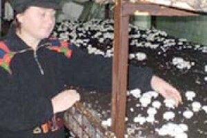 У «ЗИМОВІЙ АГРОШКОЛІ» КАНІКУЛ НЕ БУВАЄ