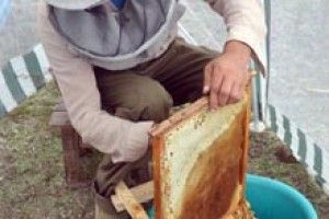 КУМЕДНА СИТУАЦІЯ: хочеш могорич — впізнай на знімку сусіда