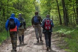 «Цуманська пуща» кличе в екопохід «Від Кормина до Лопатня»