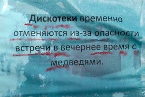 На Чукотці відмінили дискотеки через навалу... білих ведмедів