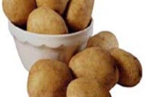 ПІДГОТОВКА КАРТОПЛІ ДО ПОСАДКИ