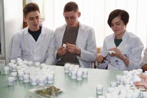 Студенти Луцького медколеджу готують для бійців цілющі ліки (+РЕЦЕПТ)