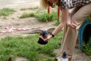 ФОТО НА КОНКУРС:хто сміливий — той і їсть