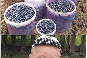 КОНКУРС ФОТОВРАЖЕНЬ НАБИРАЄ ОБЕРТІВ