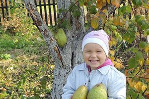 ВІКНО РУБРИКИ:  «Хай буде сад і дерево крислате»