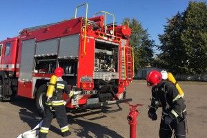 У рівненському гіпермаркеті рятувальники ловили червоного півня (фото)