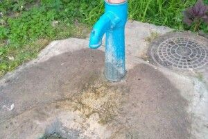 Негарна історія трапилася на вулиці Гарній