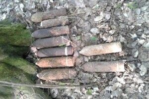 На Волині знайшли мінометну міну та 16 артилерійських снарядів (фото)