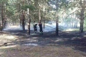 На півдні України зафіксували перші лісові пожежі (фото)