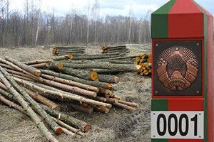 БІЛОРУСИ  ПОВЕРНУЛИ ЗРІЗАНУ ДЕРЕВИНУ