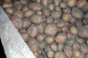 У підвалі на Львівщині загинули четверо людей