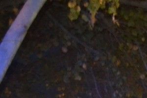 20-річний житель Рівненщини на BMW врізався в автівку пенсіонера