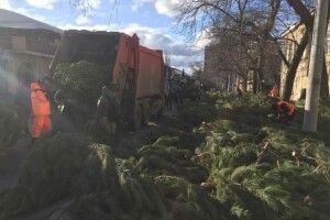 «Це скільки ж гектарів лісу вирубали?»: на вулицях міст України залишилися кладовища непроданих ялинок (Фото, відео)