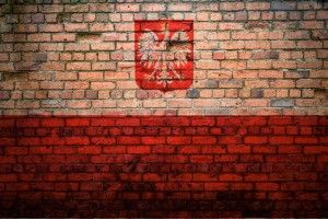 Польська поліція зайнялась працедавцем українки, залишеної після інсульту на зупинці