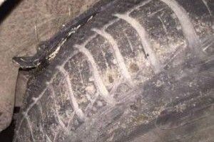 Водій у суді змусив дорожників заплатити за ями на дорозі 