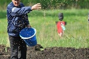 ЯК СЕЛЯНИНУ ПОСІЯТИ ХЛІБ?