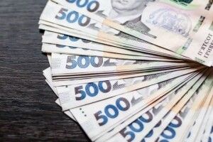 З підприємця стягнуть майже 600 тисяч гривень в бюджет Луцької громади