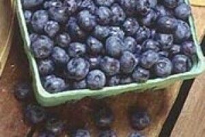 ТАКІ ДОРОГІ ЛІТНІ ВІТАМІНИ