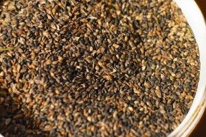 Одна шишка – п’ять сосон: волинські лісівники почали заготовляти насіння