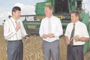 ВОЛИНЬ РОЗПОЧАЛА ЖНИВА