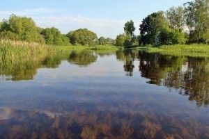 У Турію потрапляють стічні води