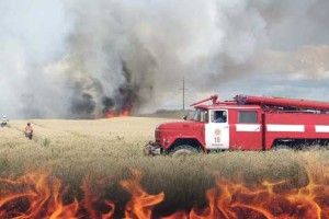 «Хлібне поле горіло так, що аж гул стояв»