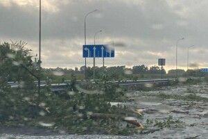 Зірвані дахи, повалені дерева: негода накрила частину України, оголошено штормове попередження (Фото, відео)