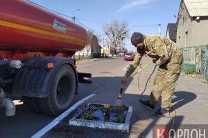 Любомльські комунальники — рятівники клумб