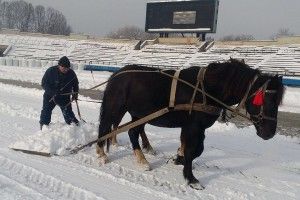 Запрягайте, хлопці, коней – треба грати у футбол! (фото)