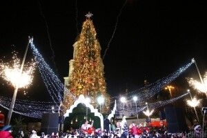 У Вільнюсі крута ялинка, але і в Луцьку біля «Променя» – достойна