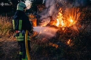 За добу на Волині сталося сім пожеж сухої трави та чагарників