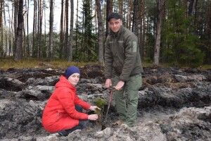На Волині у День лісу висаджували майбутні деревця (Фото)