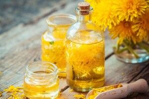 Волинянка робить кульбабове вино