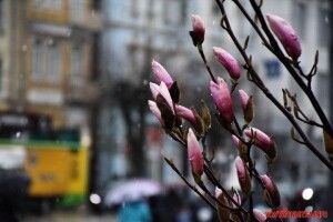 У четвер похолодання й дощі поширяться по всій Україні  