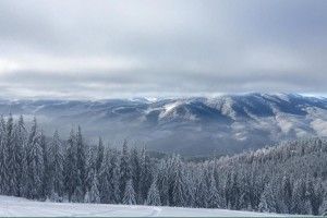 В Карпатах знайшли туристку, яка заблукала вчора