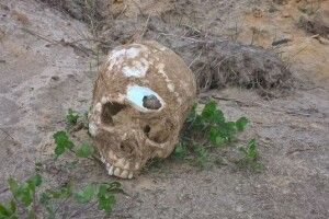 Під Ковелем знайдено місце поховання польських вояків, які загинули у 1920 році під час війни з більшовиками?