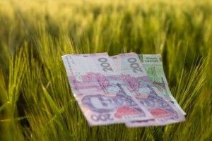 В центрі Луцька біля парку дозволили продати ділянку