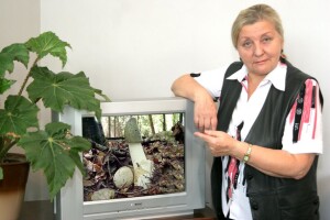 Закусив такими грибочками – ​і до чарки більше не тягне…