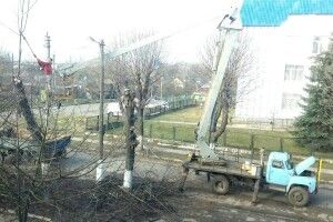 У Турійську розпочали екологічну обрізку дерев
