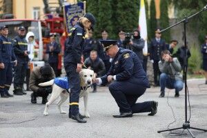 Легендарного пса-рятувальника Біма урочисто провели на заслужений відпочинок (Фото)