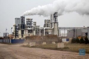 «Кроноспан УА» планує збудувати термінал біля Ягодина на Волині: проект вивчають екологи