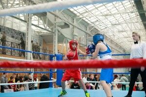 9 громад Волині виставили свої команди на обласний чемпіонат з боксу