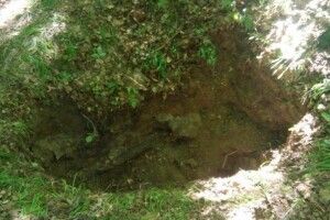 У лісі біля Калуша знайшли криївку УПА