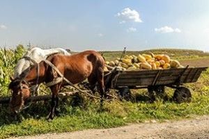ВІКНО РУБРИКИ: стратегічний вантаж
