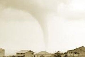 ЛИС ПРОГНОЗУЄ АНОМАЛЬНЕ ЯВИЩЕ