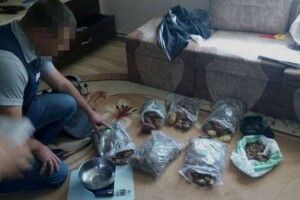 У Ковельському та Маневицькому районах вилучили бурштину на понад мільйон гривень