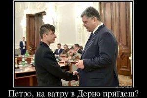 Мороз не завадить Пегасу зібрати сьогодні друзів біля ватри у Ківерцівському районі (відео)
