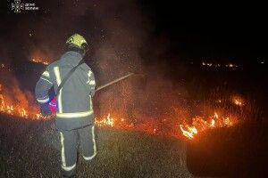 За вихідні на Волині гасили 8 пожеж сухостою та чагарників