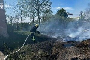 Сьогодні на Волині горіло 6 гектарів